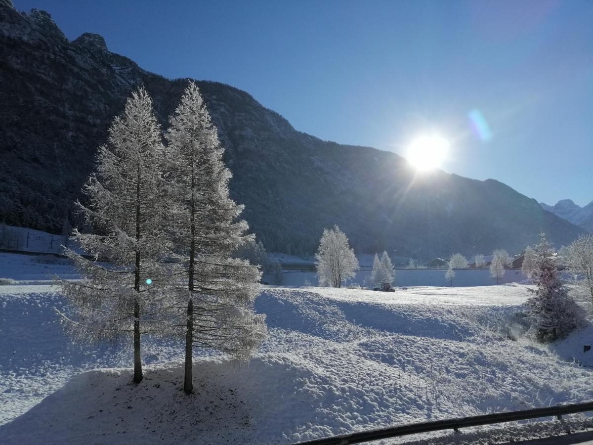 Ai Larici Hotel Perarolo di Cadore Buitenkant foto